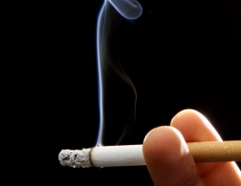 các bài hát trong cigarettes after sex Lời bài hát You're All I Want (Cigarettes After Sex) [có nhạc nghe]